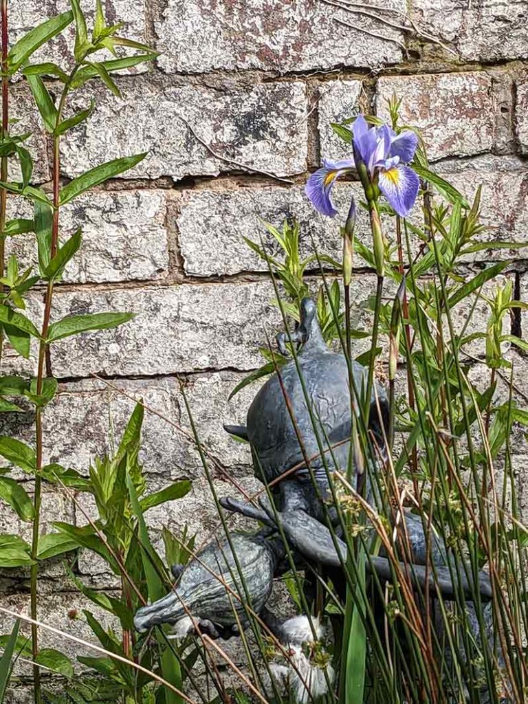 blue iris versicolour Gerald Derby against a white wall and metal statue