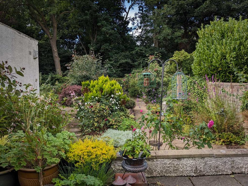 view of the garden from the patio end of August 2024.