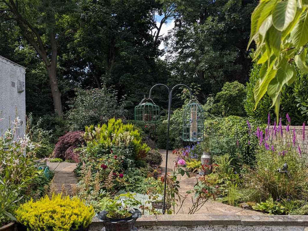 garden view from the patio end of July 2024